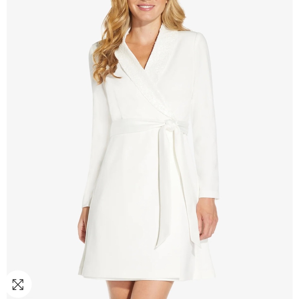 Adrianna Papell Ivory Knit Crepe Collared A-Line Long Sleeve Dress NWT